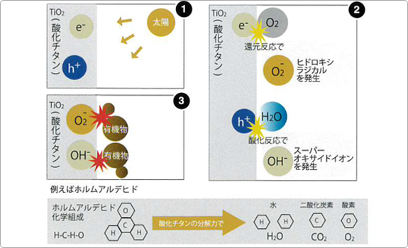 これが有機物分解の原理です